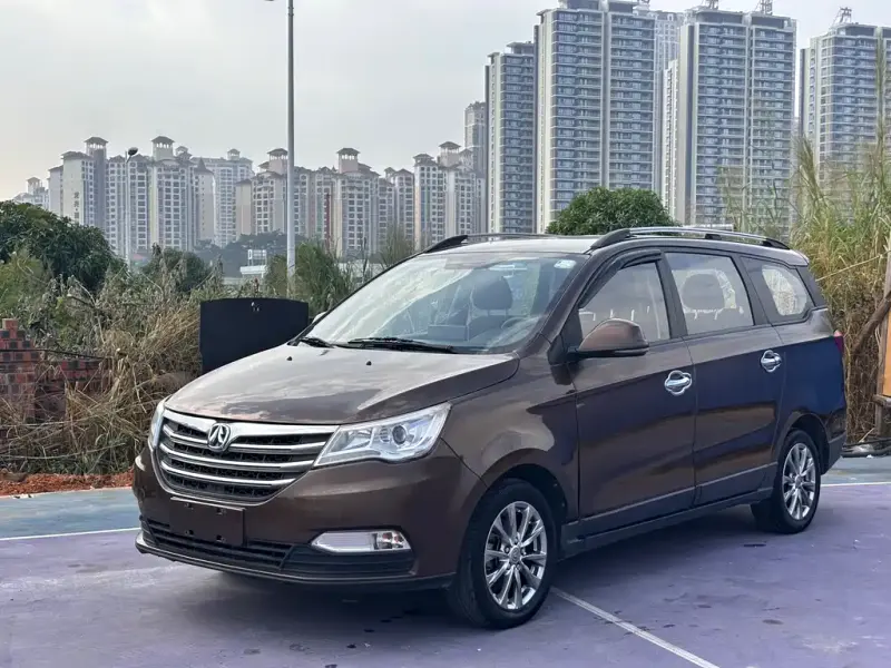 BAW Weiwang M50F, 2017