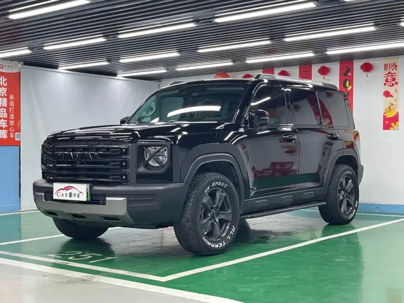 Haval Menglong New Energy, 2024
