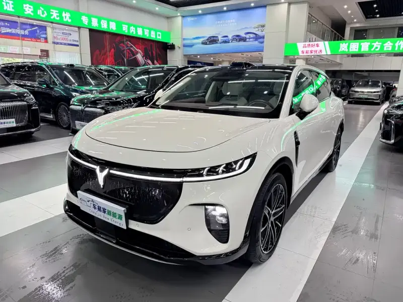 VOYAH Zhiyin, 2025