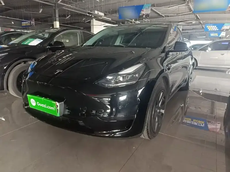 Tesla Model Y, 2024