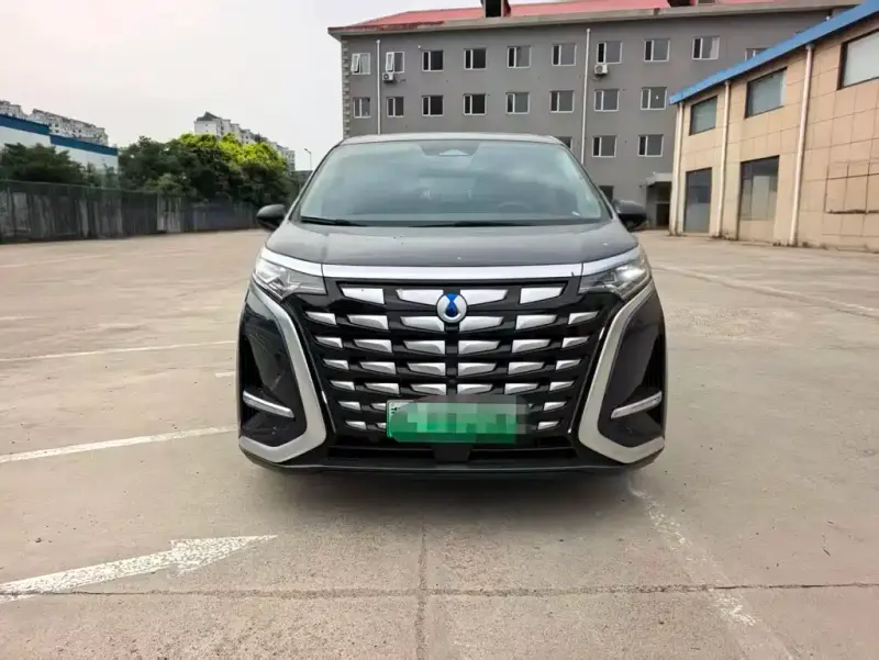 Denza D9, 2024