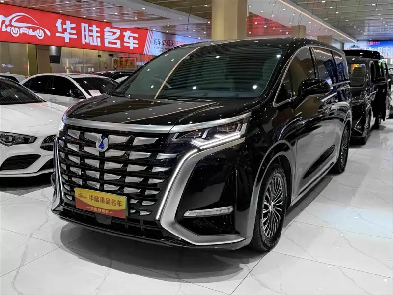 Denza D9, 2024