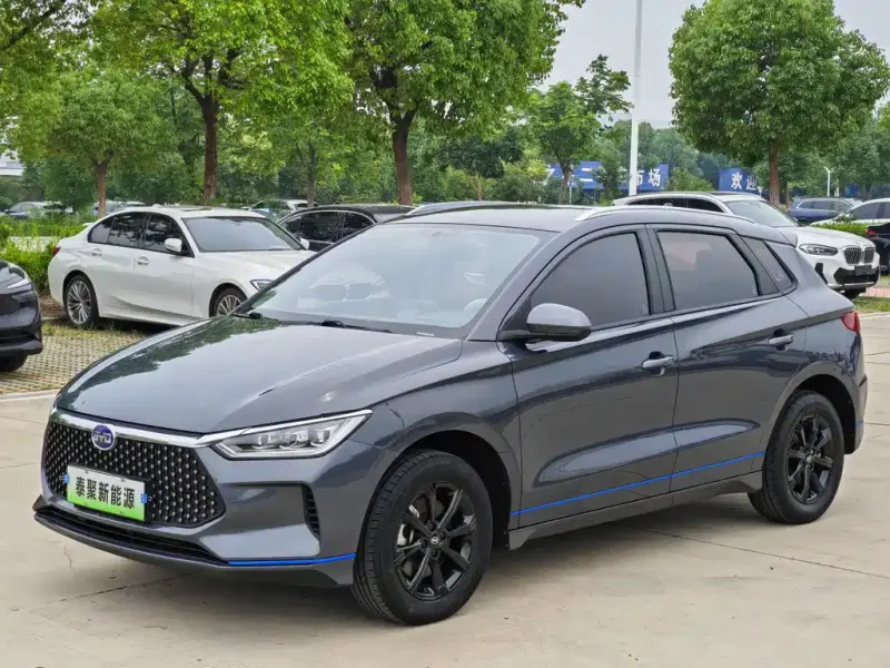 BYD e2, 2021