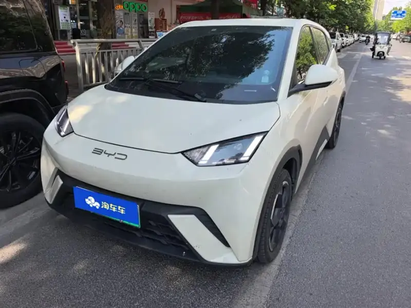 BYD Seagull, 2024