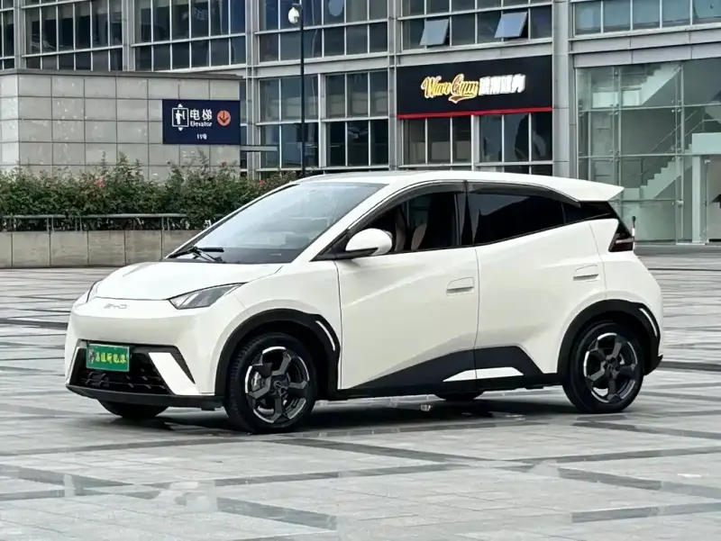 BYD Seagull, 2023