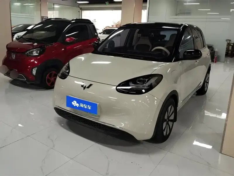 Wuling Bingo, 2024