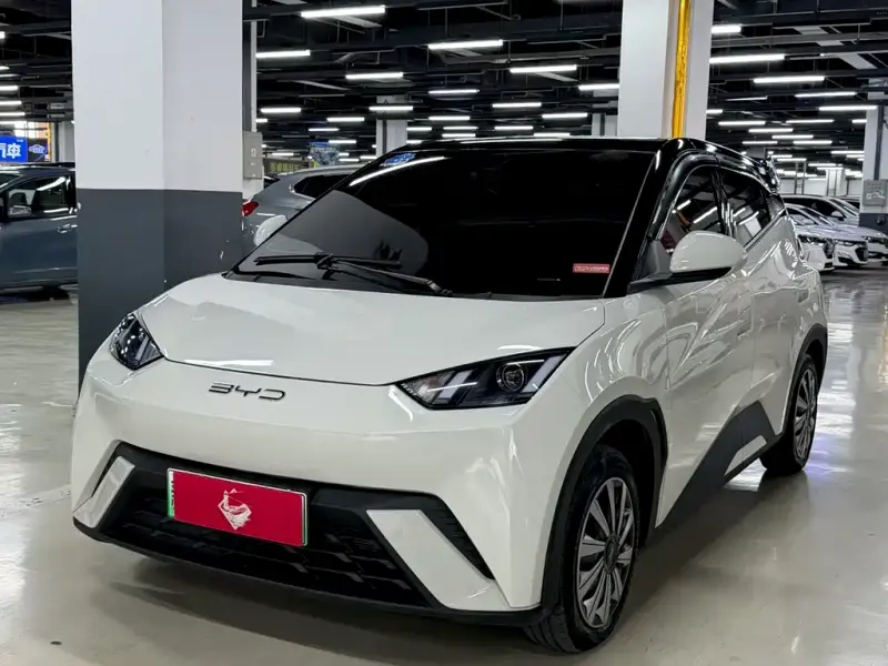 BYD Seagull, 2023