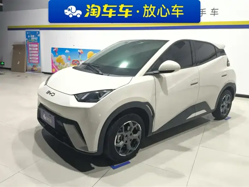 BYD Seagull, 2024