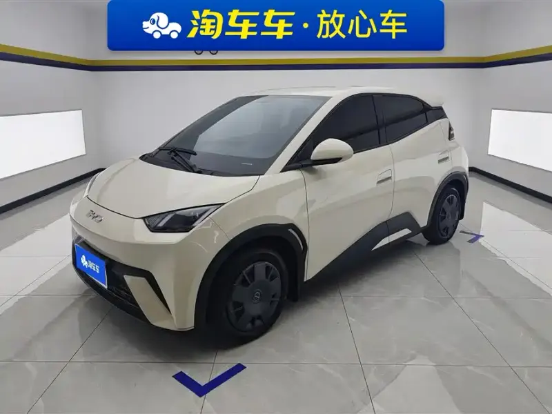 BYD Seagull, 2024