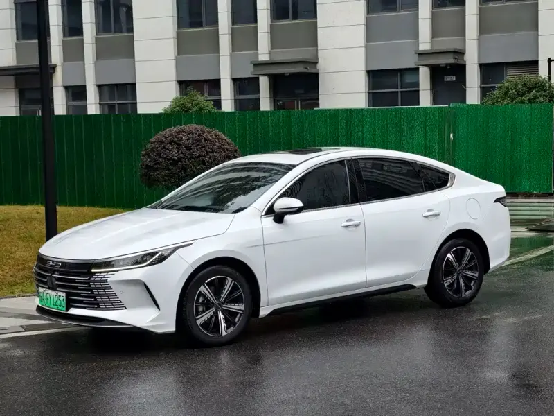BYD Destroyer 05, 2023
