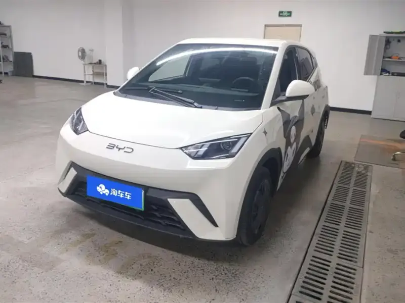 BYD Seagull, 2024