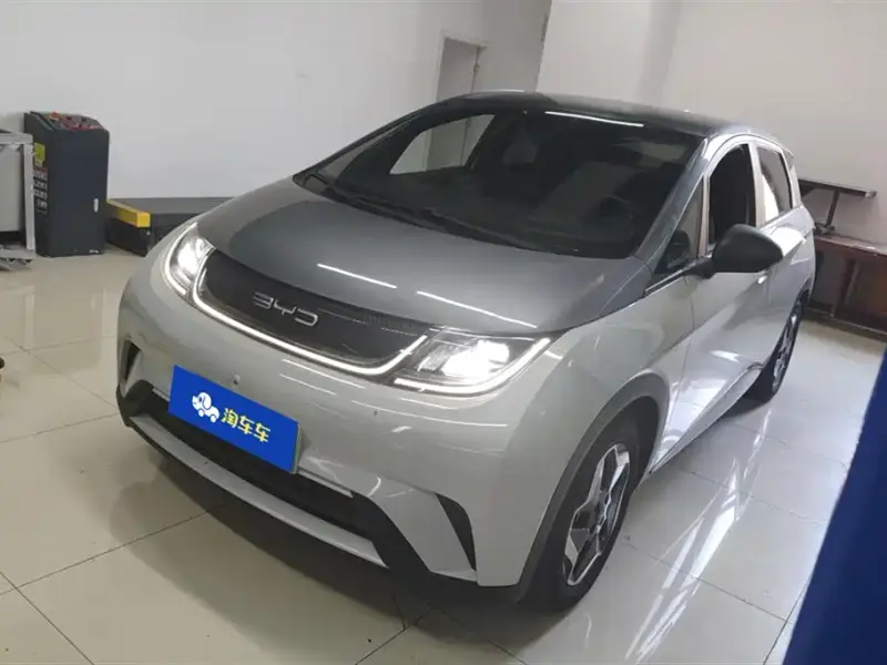 BYD Dolphin, 2022