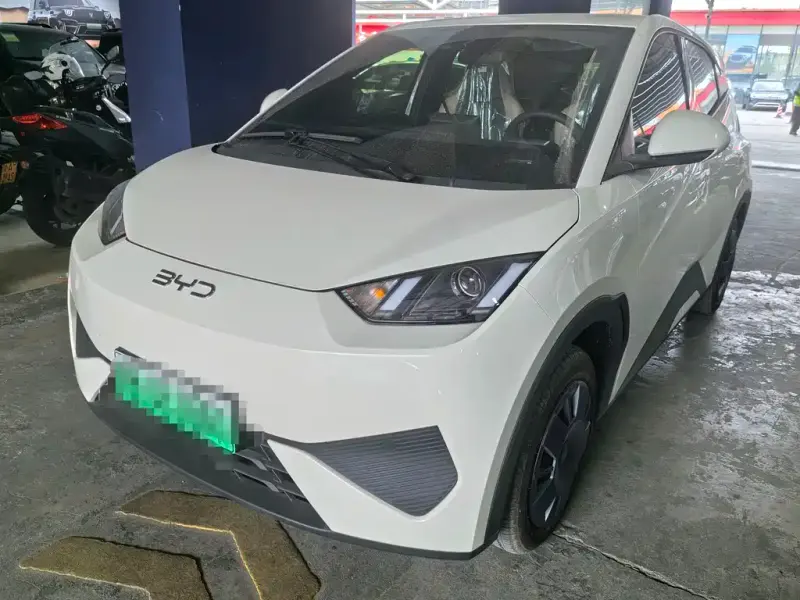 BYD Seagull, 2026