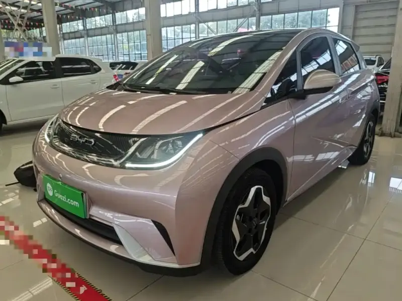 BYD Dolphin, 2022