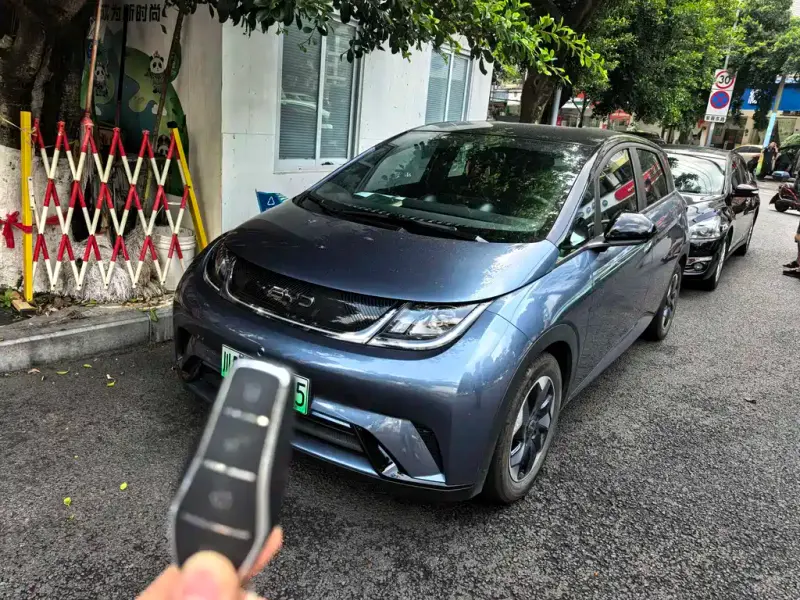 BYD Dolphin, 2024