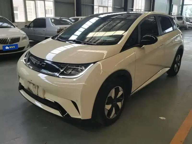 BYD Dolphin, 2024