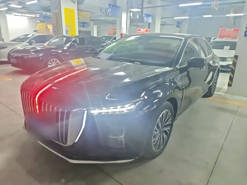 Hongqi H5, 2024