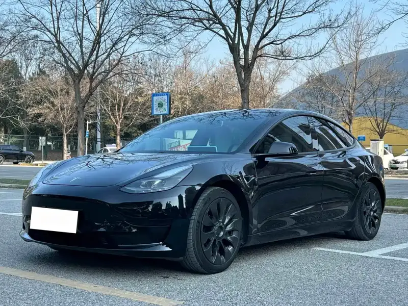 Tesla Model 3, 2021