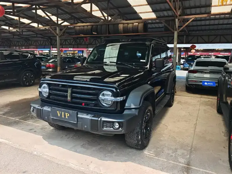 Tank 300, 2021