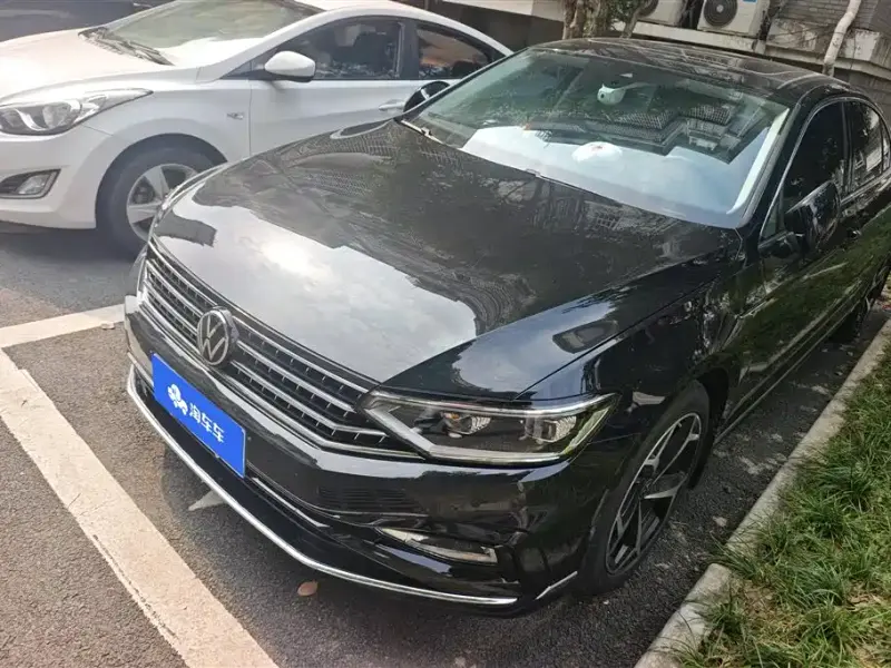 Volkswagen Magotan, 2024