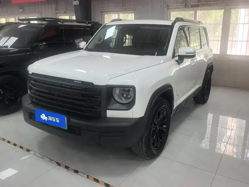 Haval Menglong New Energy, 2025