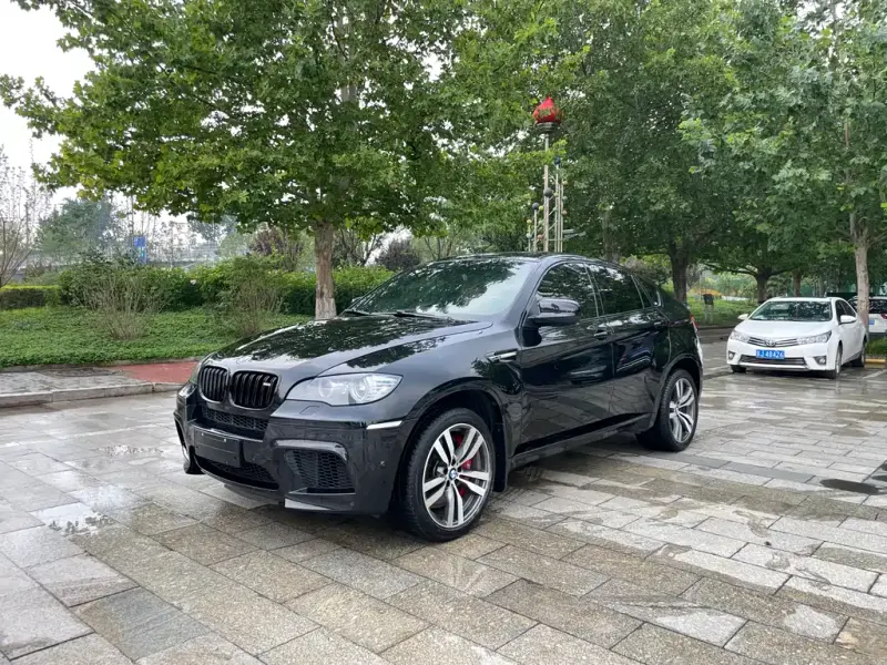 BMW X6 M, 2013