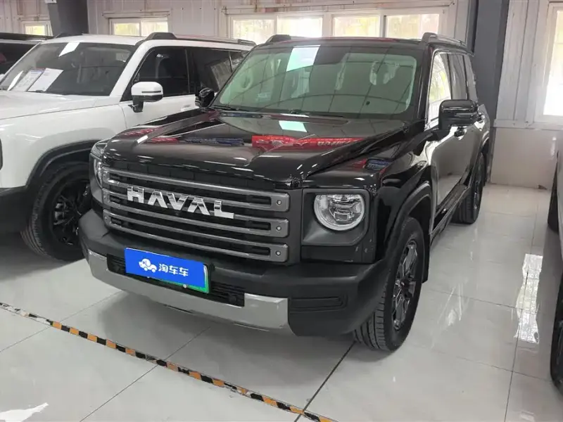 Haval Menglong New Energy, 2024