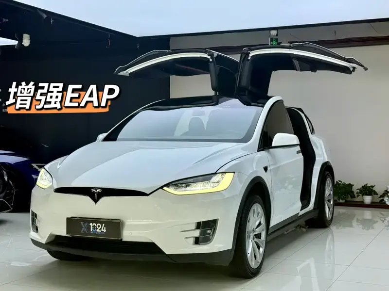 Tesla Model X, 2020