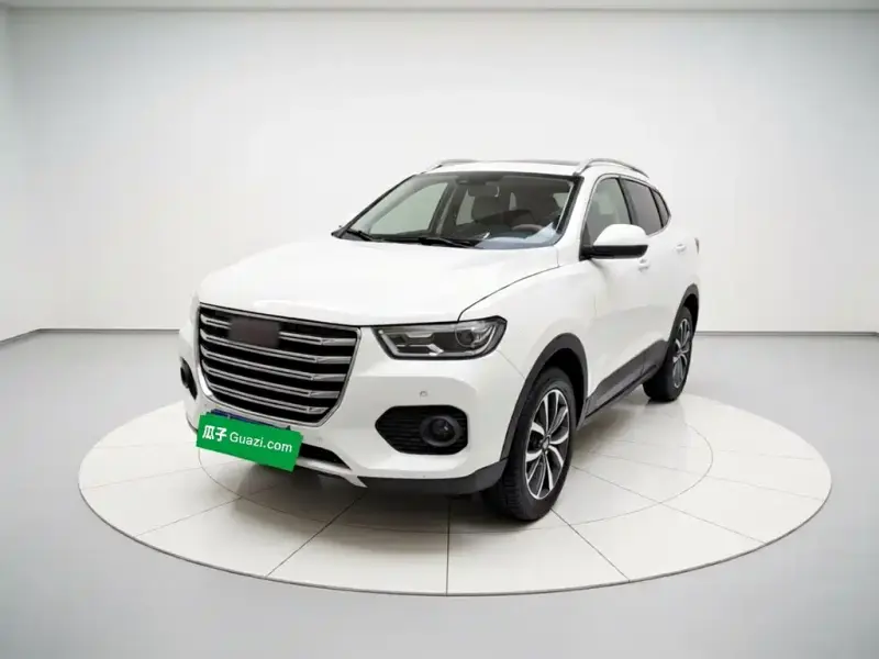 Haval H2s, 2017