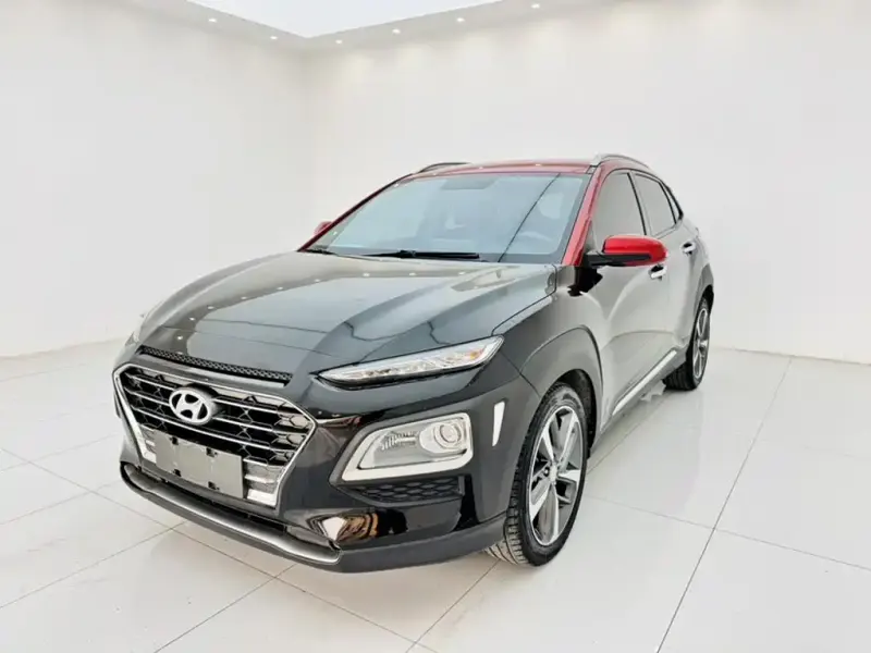 Hyundai Encino, 2019