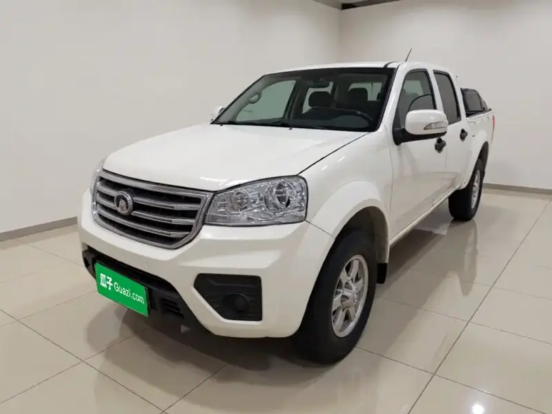 Great Wall Fengjun 5, 2019
