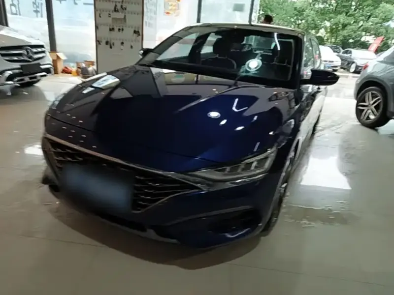 Hyundai Fista, 2019