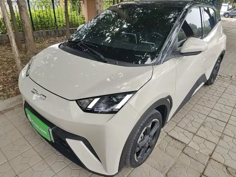 BYD Seagull, 2024