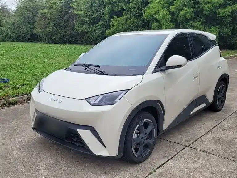 BYD Seagull, 2024