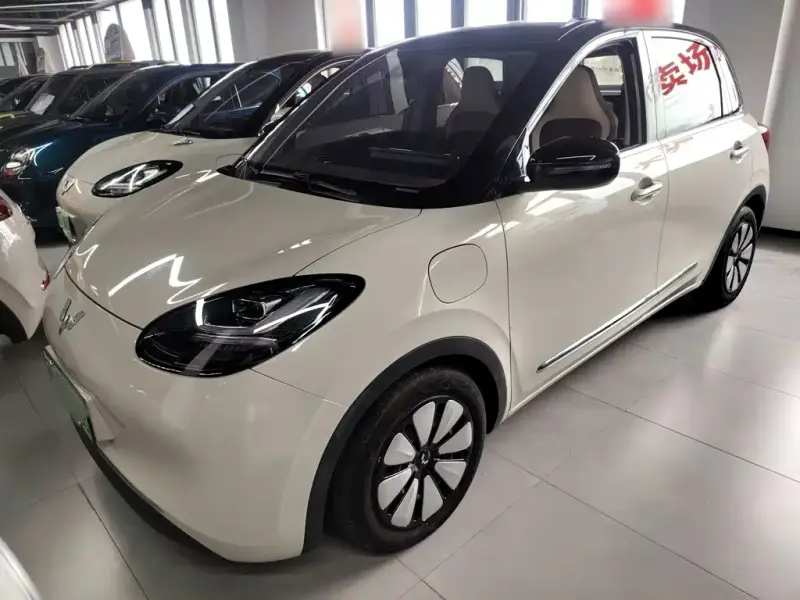 Wuling Bingo, 2024