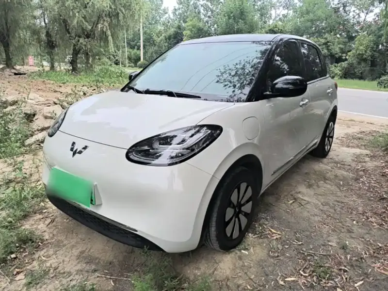 Wuling Bingo, 2025