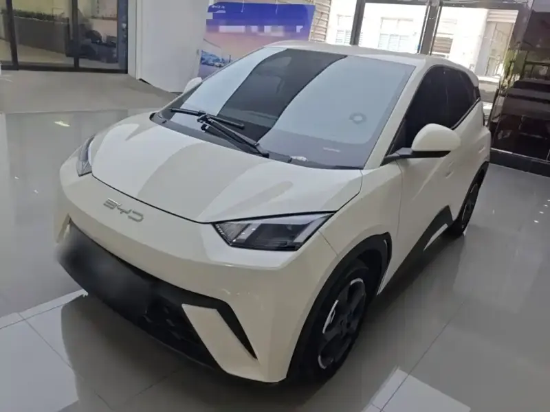 BYD Seagull, 2024