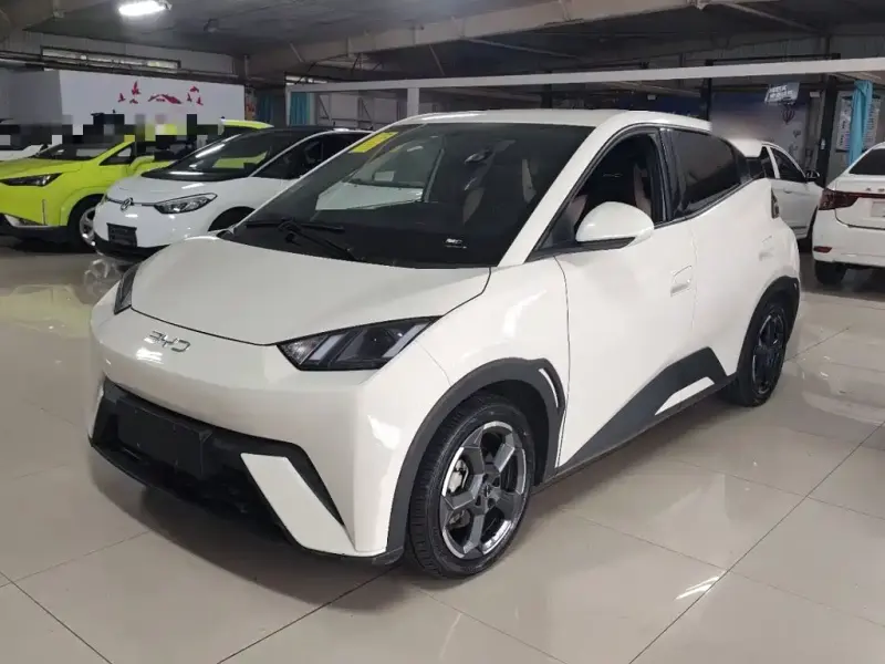 BYD Seagull, 2024