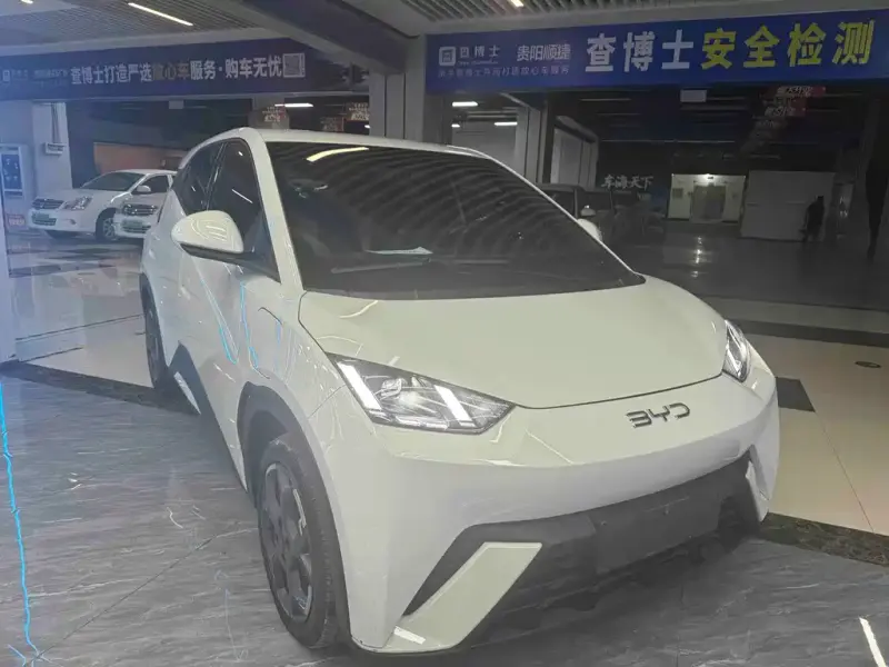 BYD Seagull, 2024