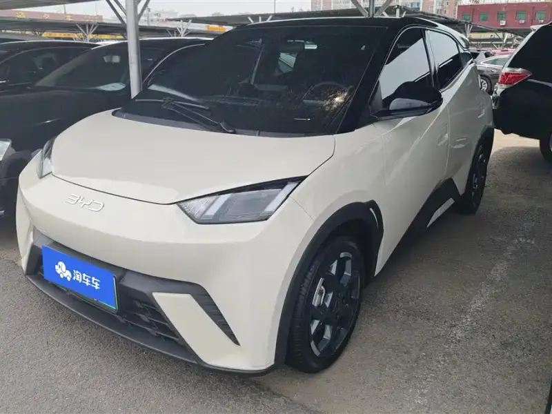 BYD Seagull, 2024