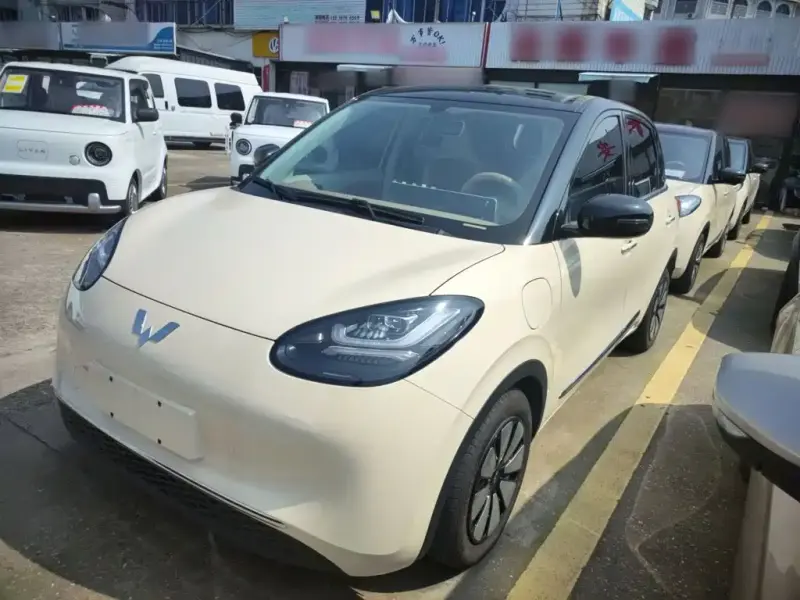 Wuling Bingo, 2025