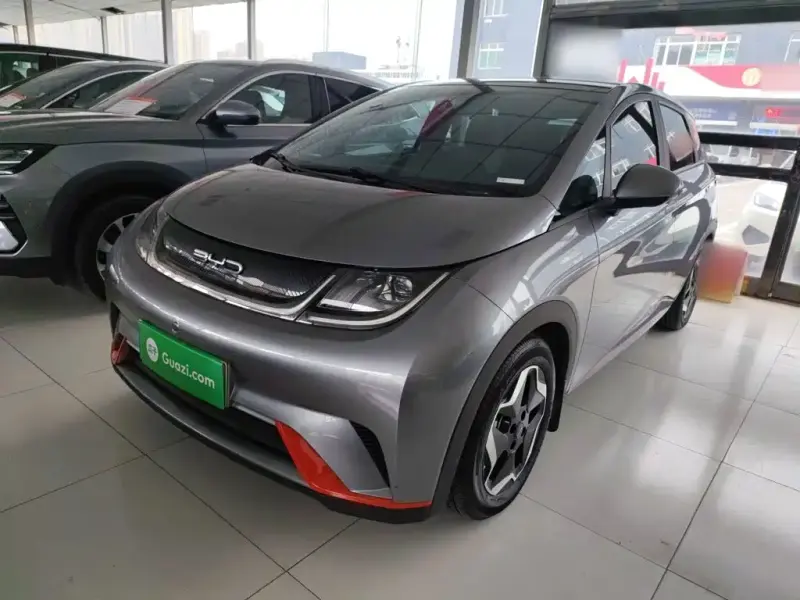 BYD Dolphin, 2022