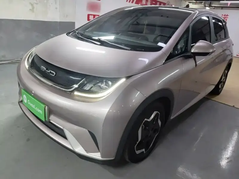 BYD Dolphin, 2022