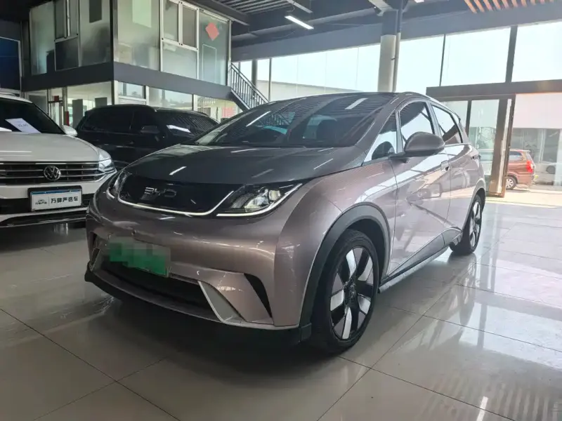 BYD Dolphin, 2022