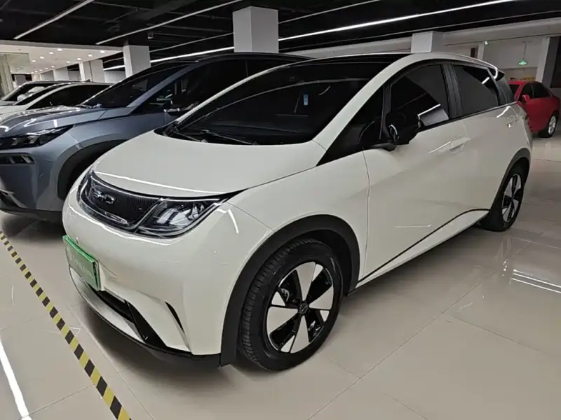 BYD Dolphin, 2023