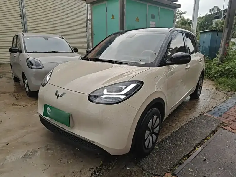 Wuling Bingo, 2026