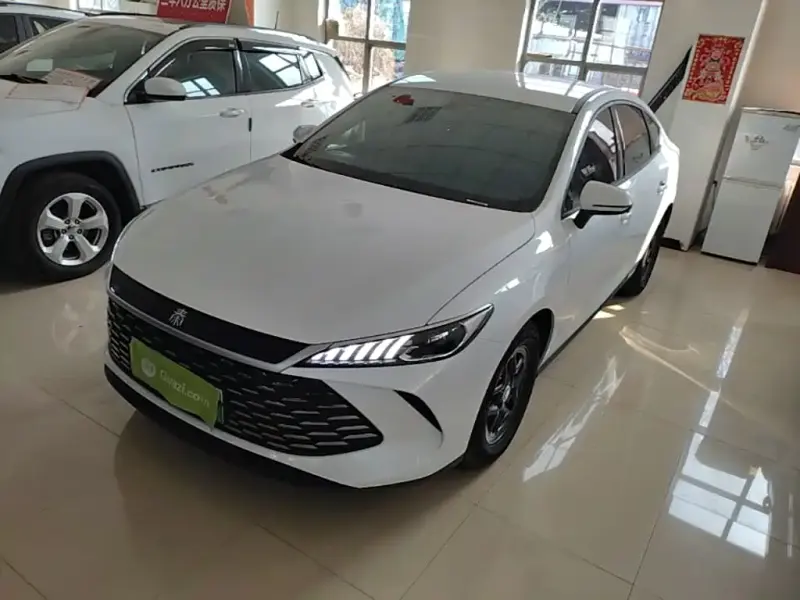 BYD Qin PLUS, 2025