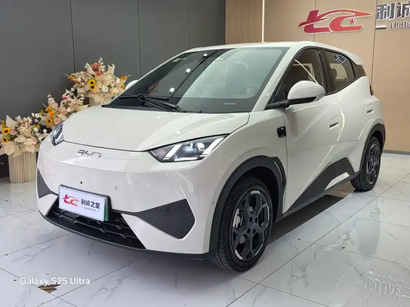 BYD Seagull, 2025