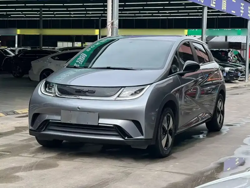 BYD Dolphin, 2024