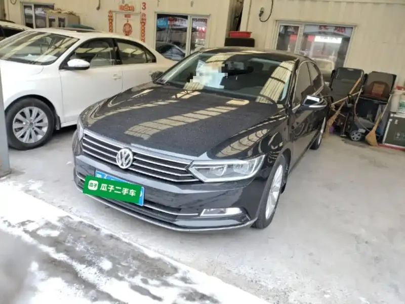 Volkswagen Magotan, 2019